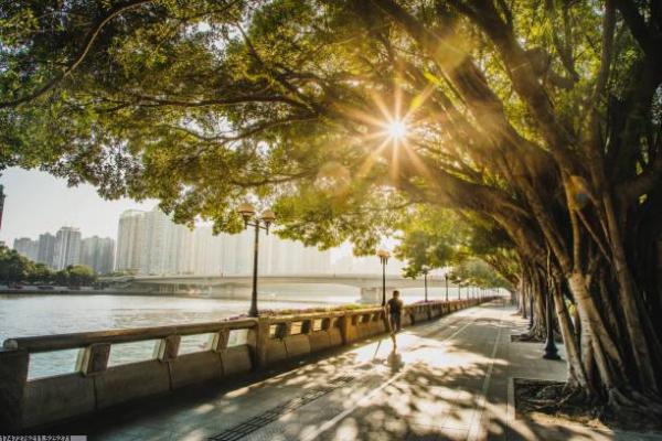 电竞项目种类大全及分类说明(图1)
